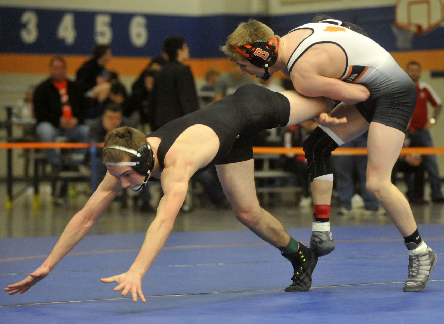 Division 1 Park Sectional
